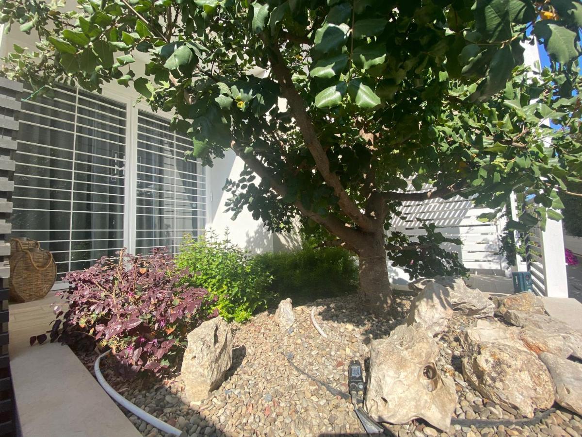 Home3 Bed Superior Room Bisceglie Luaran gambar